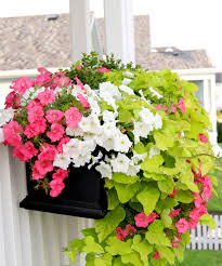 5% coupon applied at checkout. The Best Window Box Planters How To Natalie Malan