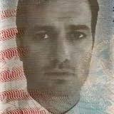 Daniel Eran Dilger Column Writer, Apple Evangelist at AppleInsider