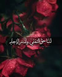 صور جميلة للفيس بوك 2020 مكتوب عليها عبارات رائعة Islamic Love Quotes Photo Love Quotes