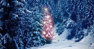 Inaintea craciunului, ai mei impodobeau bradul. Minunata Poveste A Bradului De Craciun