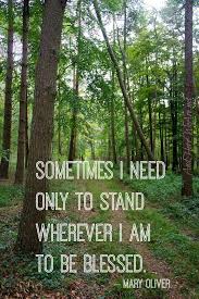 How I Go To The Woods By Mary Oliver And Here We Are Mary Oliver Quotes Mary Oliver Mary Oliver Poems
