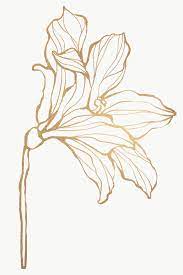 Detailed Golden Leaves Transparent Pg Premium Image By Rawpixel Com Nunny Line Art Flowers Flower Drawing Flower Outline