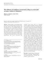 Image result for Erianthemum ngamicum