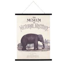 Kakemono Imprime Elephant 71x115 Maisons Du Monde Kakemono Parement Mural Elephant