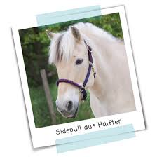 Video tutorial shows how to adjust brake pad postion, cable tension and centering on typical road bike sidepull brake calipers. Anleitung 209 Sidepull Aus Halfter Nordfalben Shop