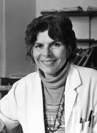 International art exhibit featuring dr. in philippines