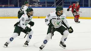 Maybe you would like to learn more about one of these? Sex Nhl Spelare Pa Nio Ar Karlstad Fria Laroverks Och Farjestad Bk S Framgangsrecept Vi Samspelar Traning Och Studier Fria Laroverken