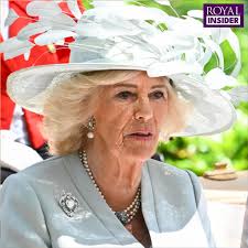 Queen Camilla's 'silent battle' at Royal Ascot with King Charles 'revealed'  🔽