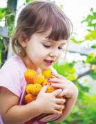 National Culinary Review