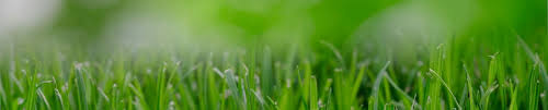Get directions, reviews and information for abc pest & lawn services in marble falls, tx. Bobby Jenkins Abc Services Rotary Club Of Austin
