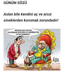 Anasayfa Twitter Kedileri Seviyorum Aslan