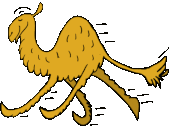 Shop hump stickers created by independent artists from around the globe. Geico Camel Gifs Tenor
