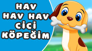Hav Hav Hav Benim Cici Kopegim Minnak Cocuk Sarkilari Youtube