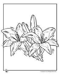 35 georgia o keeffe coloring pages for printing and coloring. Georgia O Keeffe Coloring Pages Flower Coloring Pages Coloring Pages Lily Outline