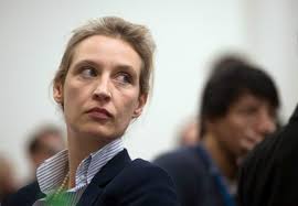 Alice weidel, leader of the afd in the bundestag (epa) meanwhile 15 tory councillors who were suspended for alleged islamophobia have been quietly reinstated without further sanction. Merkel Is Insane Meet The Woman Leading The Afd Into The Elections The Local