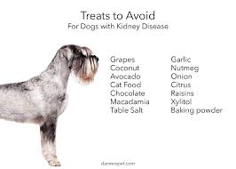 Stinging nettle seeds because this medicinal herb is purported to be an adrenal trophorestorative & adaptogen and has a remarkable ability to rebuild and restore. Dog Food For Kidney Disease How To Choose And Provide The Best Diet Darwin S Natural Pet Products Darwin S Pet Food