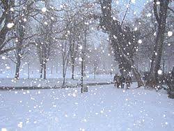 Viimeisimmät twiitit käyttäjältä neve (@amsneveltd). Neve Wiktionary