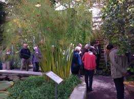 Der botanische garten der universität bern (boga) ist seit 1860 eine vielfältige und bunte oase mitten in der stadt bern. Pfarrei St Georgen Impressionen