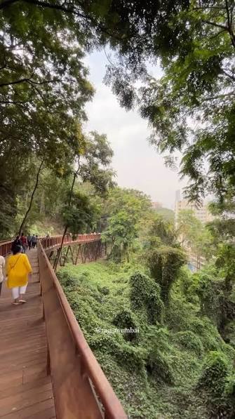Explore the wild side of Mumbai 😍, Elevated Nature's Trail is NOW OPEN ✅, Discover a jungle vibe in the heart of the city❤️, Entry fee: ₹25 (Indians), ₹100 (foreigners), 500m walk, no seats (senior ...