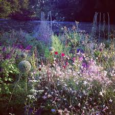 Sarah Price Sarahpricelandscapes Instagram Photos And Videos Instagram Mists Instagram Photo