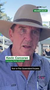 Free range eggs are becoming ever-more popular with consumers, according to  former accountant Meredith Tiller, Glengarry, Tasmania. Ms Tiller, who runs  700 laying hens with her son-in-law, Duncan Holt, said consumers now