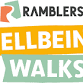 Medstead Wellbeing Walks event in Alton