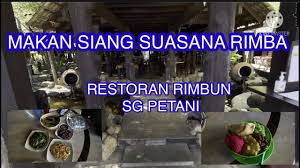 Soal nutrisinya pun sudah terbukti, sebab ikan mengandung beragam protein serta vitamin yang. Makanan Sedap Di Kedah Restoran Rimbun Ikan Bakar Dan Daging Salai Di Sg Layar Sg Petani Youtube
