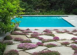 A florida fruit garden plan. 15 Small Scale Ideas For Growing Fruit And Vegies Houzz Au