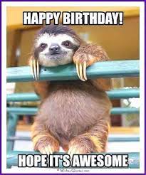 Maybe you would like to learn more about one of these? Happy Birthday Meme 26 1 Happybirthdaymemes Happy Birthday Meme Happy Birthday Animals Sloth Happy Birthday