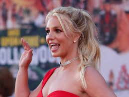 The reason most often is that too much emotion is involved and the client is not just after some compensation or after some money from a commercial claim but is out to hurt the other party. Britney Spears S Lawyers Seek Permanent Replacement Of Her Father As Conservator The Economic Times