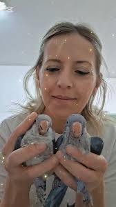 Parrocchetti monaci blu💙