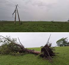 De castigar: sensação de quase 50ºC e vendavais acima de 100 km/h