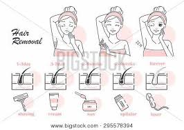 They are not really recommended for the bikini area as it is pretty sensitive and you may laser light is used in this method to remove hair permanently from the roots. Comparison Different Vector Photo Free Trial Bigstock