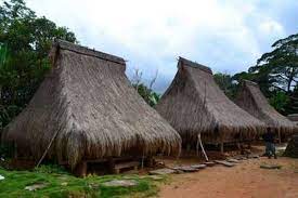 Rumah Adat Musalaki Dari Ntt Pariwisata Indonesia