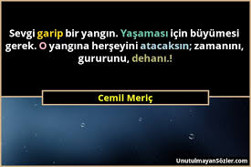 İyiki de burada kalmış ve hayvanlarımı kurtarabilmişim sözleri ile yürekleri burktu. Cemil Meric Sevgi Garip Bir Yangin Yasamasi Icin Buyumesi