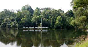 This map was created by a user. Kota Damansara Community Forest Reserve Travel Guidebook Must Visit Attractions In Kota Damansara Community Forest Reserve Nearby Recommendation Trip Com