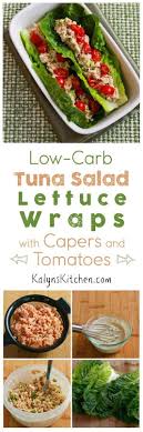 Tuna Salad Lettuce Wraps Kalyn S Kitchen Recipe Low Carb Tuna Salad Healthy Lunch No Heat Lunch