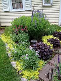 Baptisia False Indigo In Full Bloom Along With Centranthus Ruber Red Valerian May 2013 Garden Landscaping Diy Shade Garden Outdoor Gardens