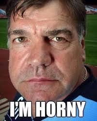Big Sam is impressed with his West Ham side so far.