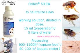 We'll help you to make the right choice. 1000ml Solfac Ew50 Cyfluthrin 5 Effective Destruction Tool Cockroaches Fleas Bed Bugs Ants Flies Mosquitoes Zoovetpets