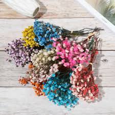 .artificial & dried flowers, buy quality home & garden directly from china suppliers:100pcs pressed dried home & garden , festive & party supplies , artificial decorations , artificial & dried flowers. Dried Flower Arrangements Dried Flowers Supplies Bouquet Filler Dried Gypsophila Bunch Bunch Of Natural Golden Dried Baby S Breath 0 8 Oz 24 G Floral Arrangements