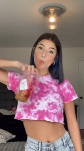 pin de ritz casuga em charli d amelio videos de danca cabelo novo pessoas famosas