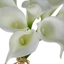 Lilli lovette, lilly lovette, lily lovely, lily lovette. Shop For The White Calla Lily Bunch By Ashland At Michaels