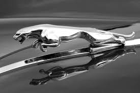 The way a car can look directly influences how we feel about a car and can be one of the key factors in buying decisions. The Coolest Hood Ornaments Ever Made Carbuzz