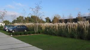 Ecovegetal Green La Solution Drainante Engazonnee Ecovegetal Parking Architecture Du Paysage Paysagiste