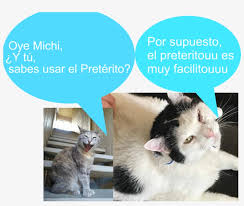 My Cat's Name Is Michi Mi Gato Se Llama Michi Who Acts - Asian - 1024x768  PNG Download - PNGkit