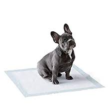 How to train a frenchie. The Ultimate Guide On How To Potty Train A French Bulldog Frenchie Journey
