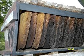 Evidence of them can be found in ancient greek and roman ruins. How To Open A Top Bar Hive 200 Top Bar Hives The Low Cost Sustainable Way