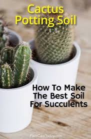 Homemade Cactus Soil Mix How To Make A Quality Potting Soil For Cacti Best Soil For Succulents Potting Soil For Succulents Potting Soil
