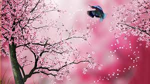 Maybe you would like to learn more about one of these? World Beautiful Birds Images Free Download For Desktop